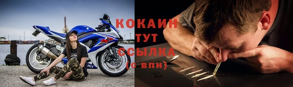 стаф Алзамай