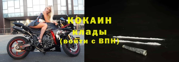 ПСИЛОЦИБИНОВЫЕ ГРИБЫ Алексин