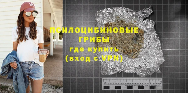 стаф Алзамай