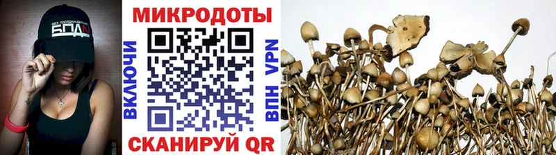 Псилоцибиновые грибы Magic Shrooms  где найти наркотики  Перевоз 